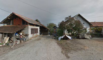 REMUS AUTOLIMARIJA, vl. Josip Remus