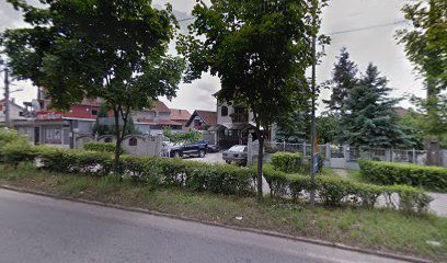 Auto servis Vojinovic