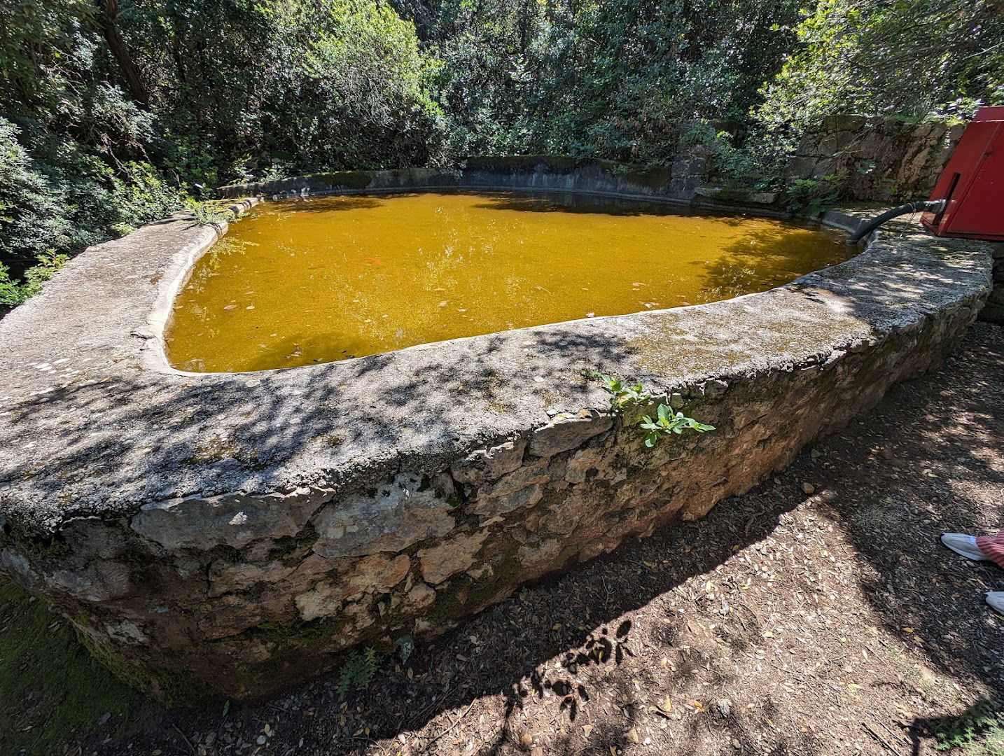 The Little Reservoir