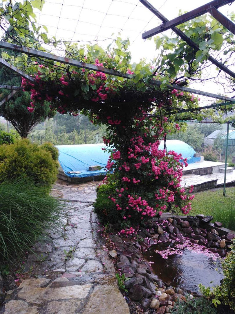 Miloš Stanković Stepojevac