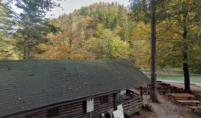 Avtomatski defibrilator (AED)