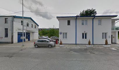 Predstavnistvo SAS Institute Programska Oprema