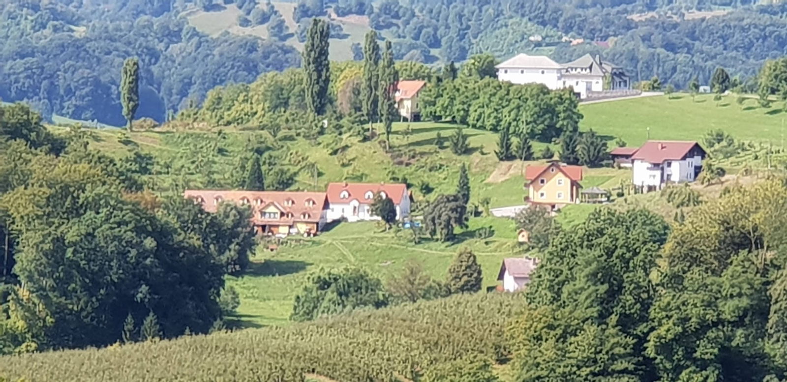 Kmetija Eder, Žiga Eder - Nosilec dopolnilne dejavnosti na kmetiji