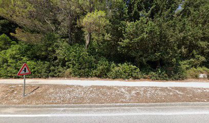 Swallows Defensive Wall