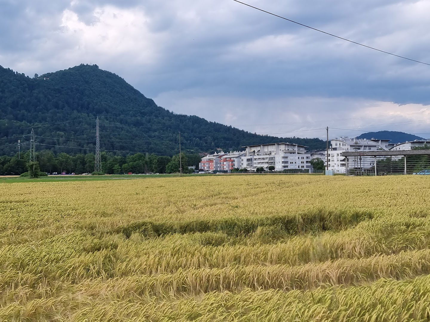 Mestna občina Ljubljana Četrtna skupnost Šentvid