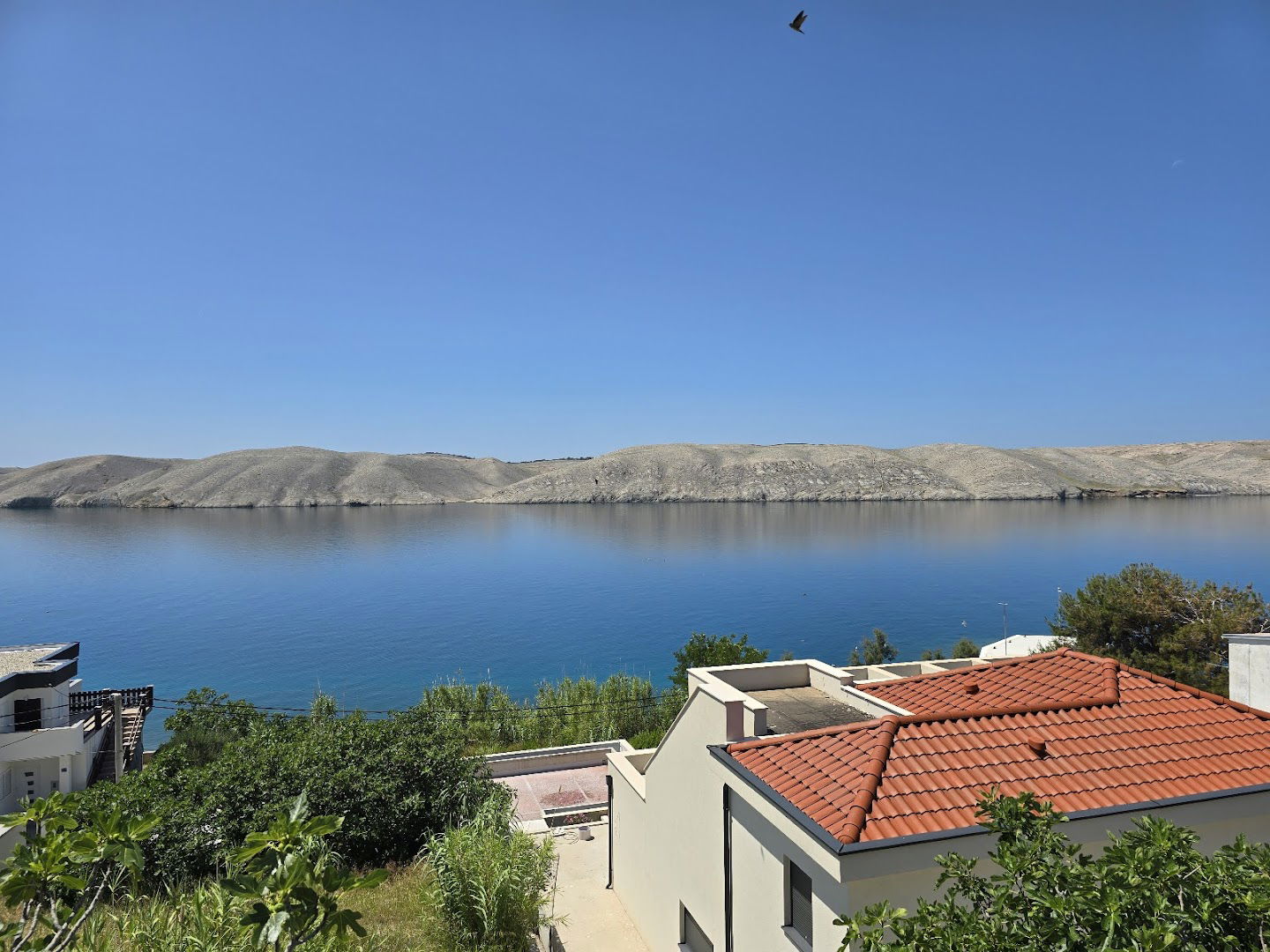 Apartments, Put Mula 4