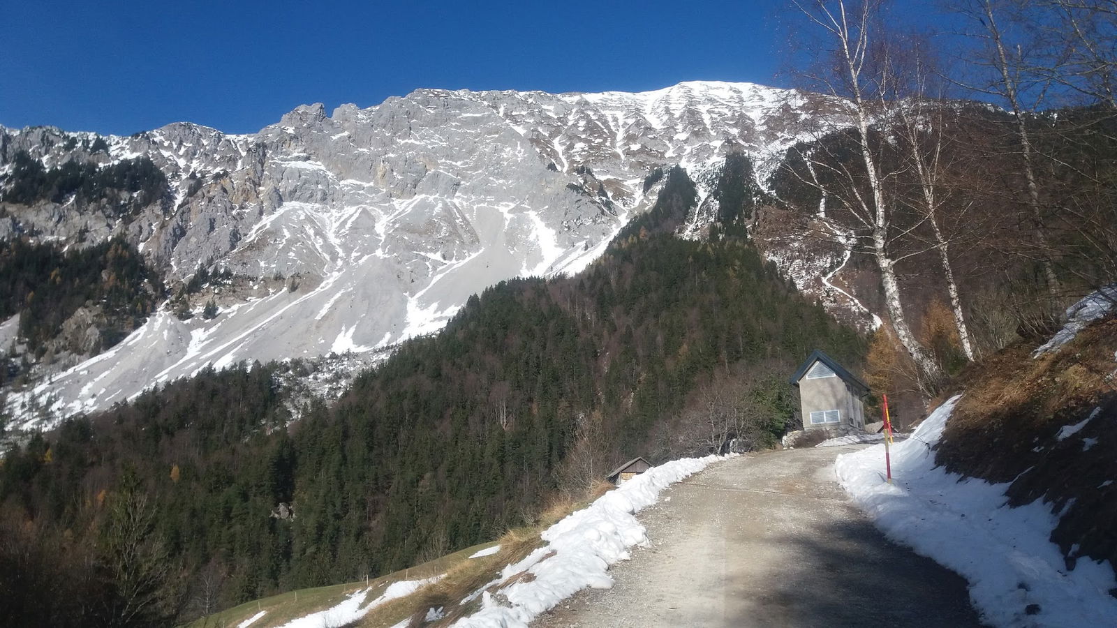 Matizovc´, žaga in obdelava lesa, Riko Frelih s.p.