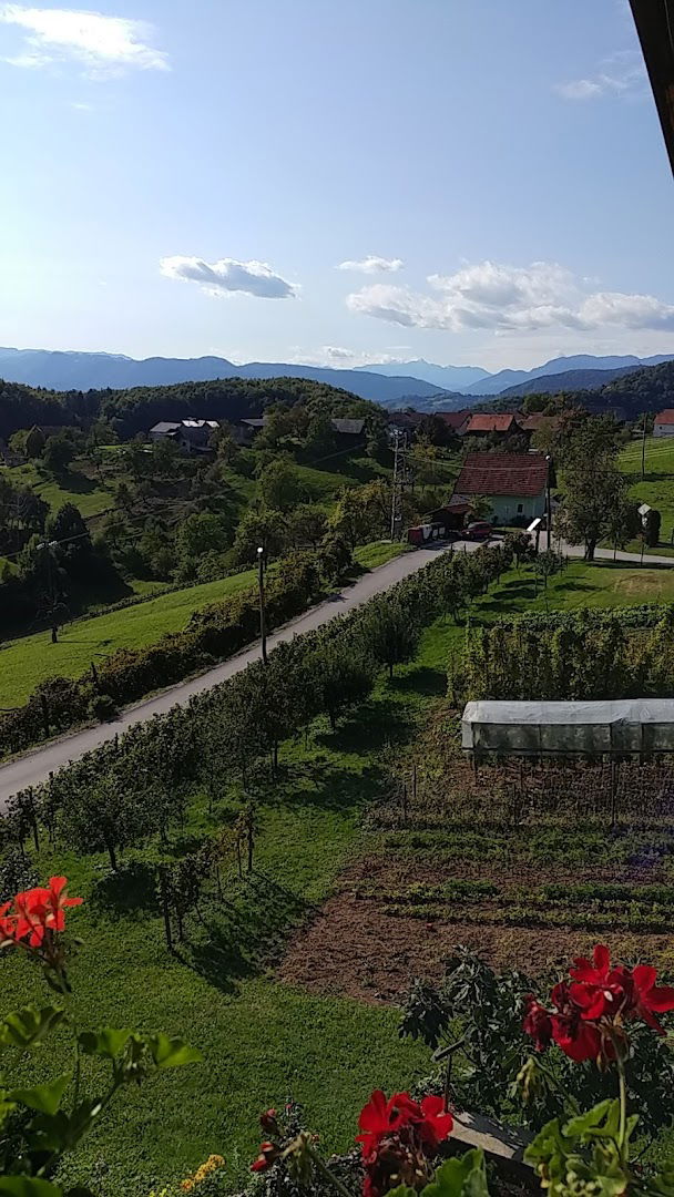 Računalniško programiranje, Primož Zagoričnik s.p.