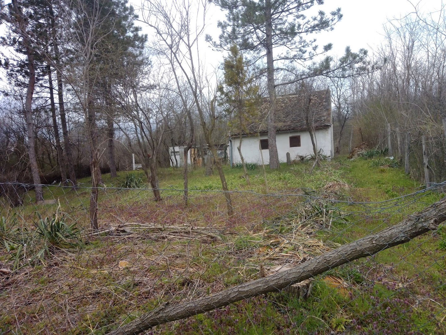 Вајат Стеваново здање - Vajat Steven's edifice