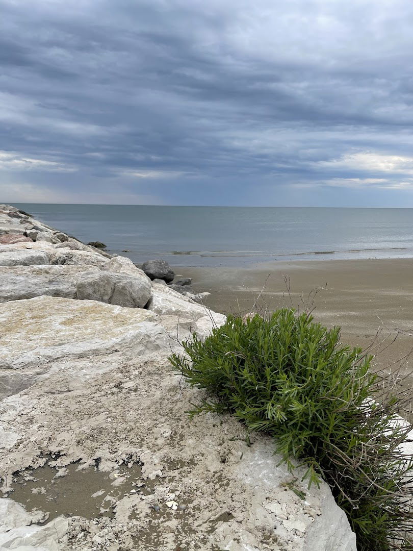 Surf & Watersports by Giorgio