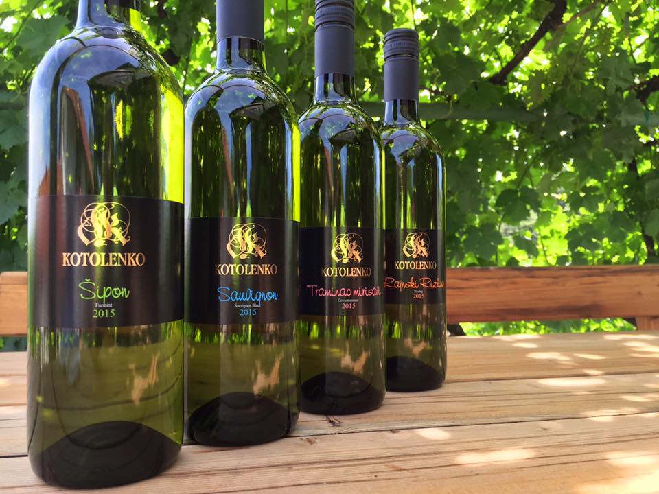 Vinogradarstvo "Vinski hram", Slavko Kotolenko