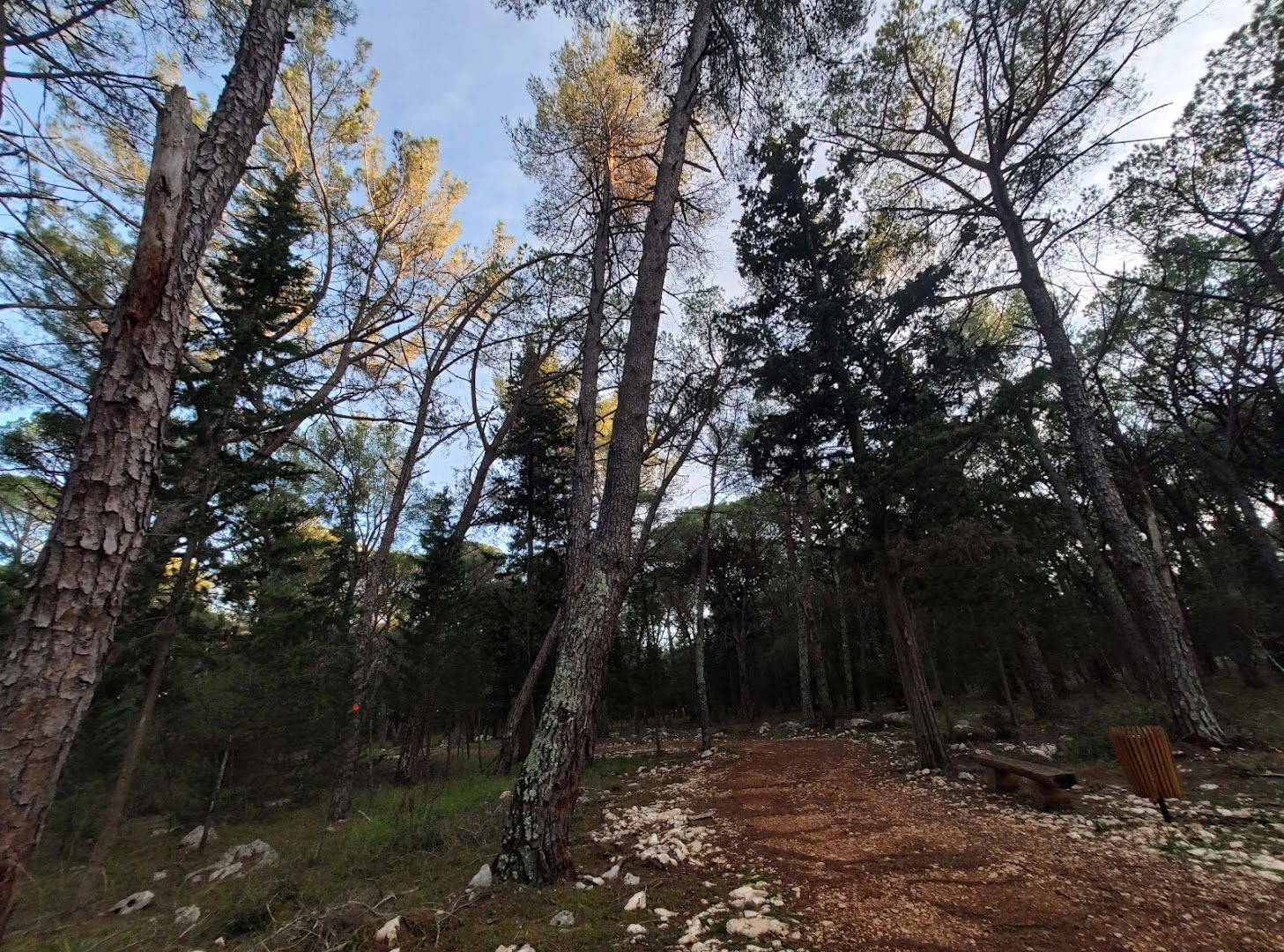 Musapstan Forest Park