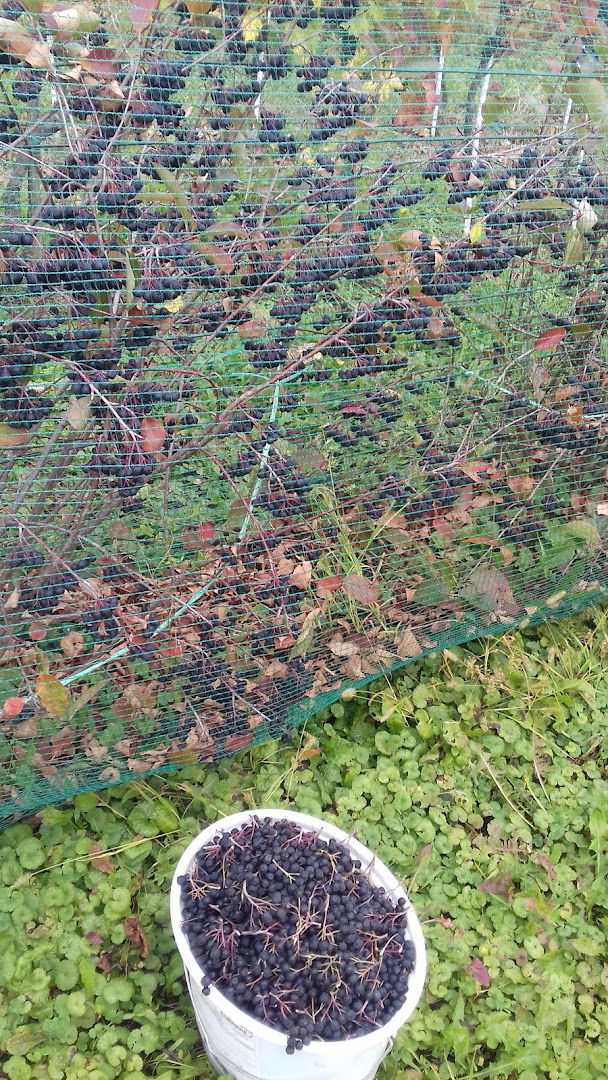 Chapel of St. Martin