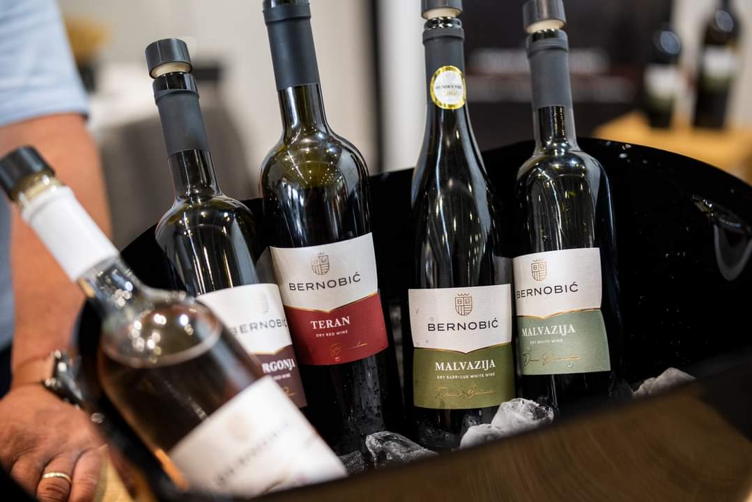 VINA DENIS BERNOBIĆ