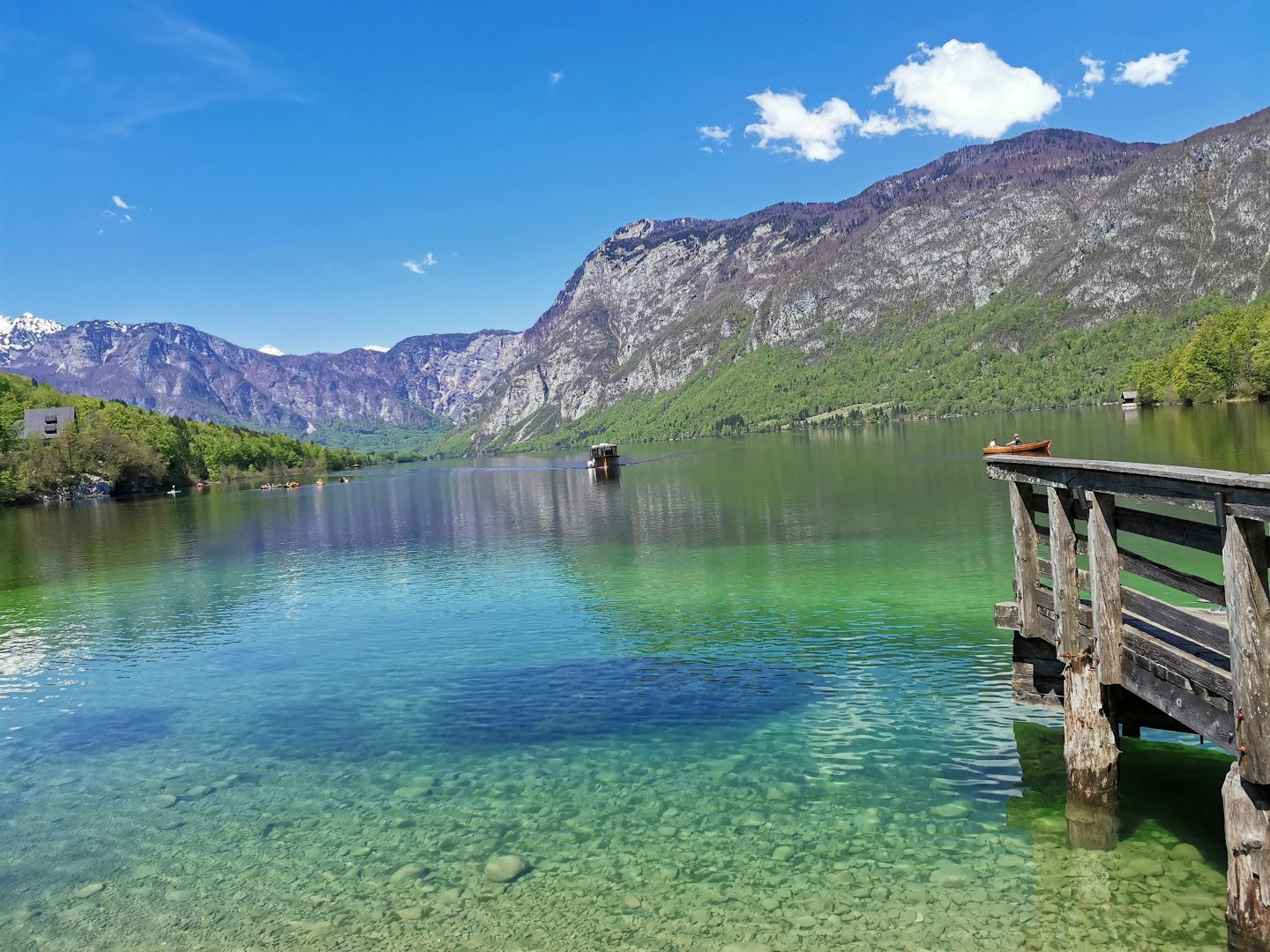 Goldenhorn/Zlatorog