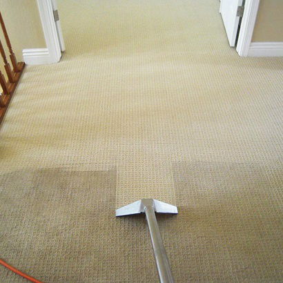 Tepih Servis Family Pro