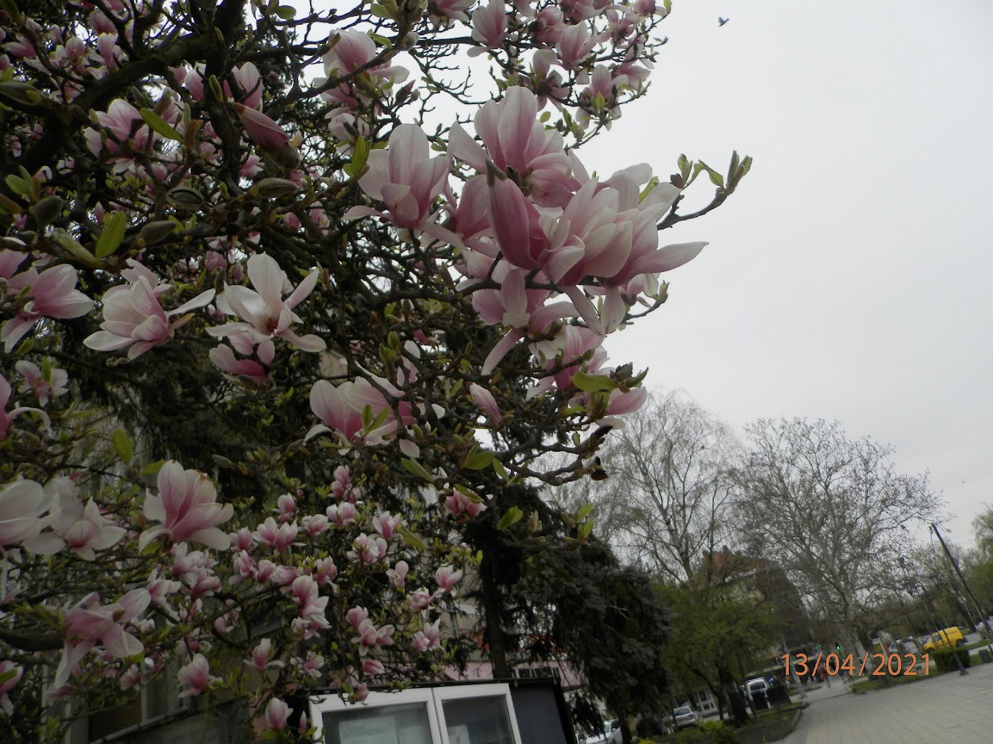 Пешачка зона