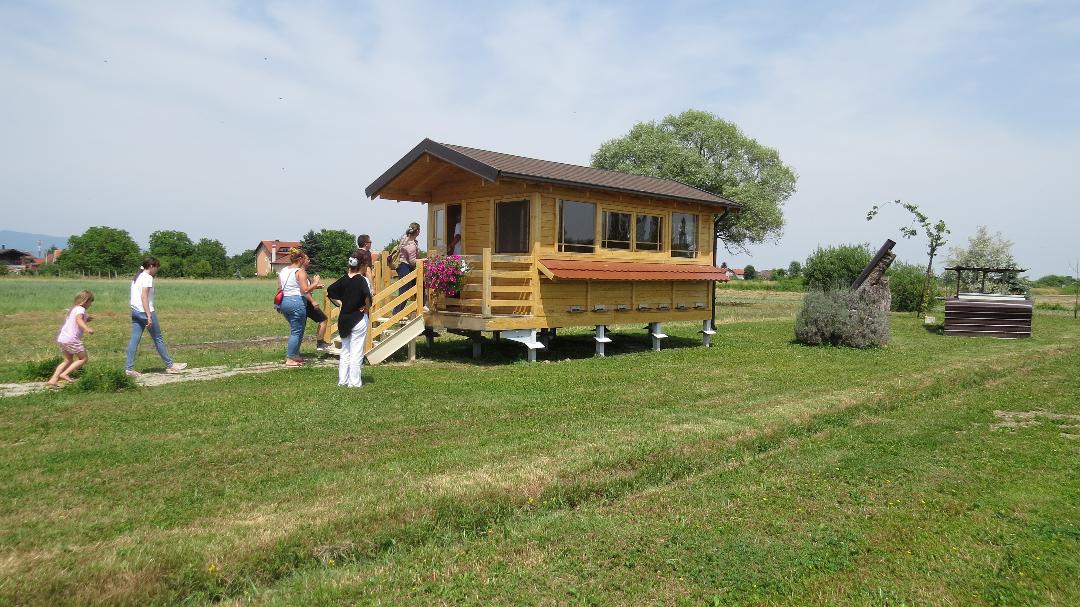 OPG JAKOPINEC- apiterapija, pčelarstvo, najam sjenice za proslave