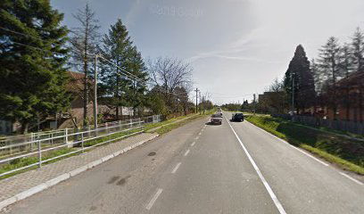 Stubline - Radio stanica