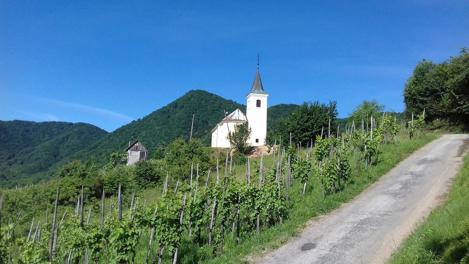 Church of the Most Holy Trinity