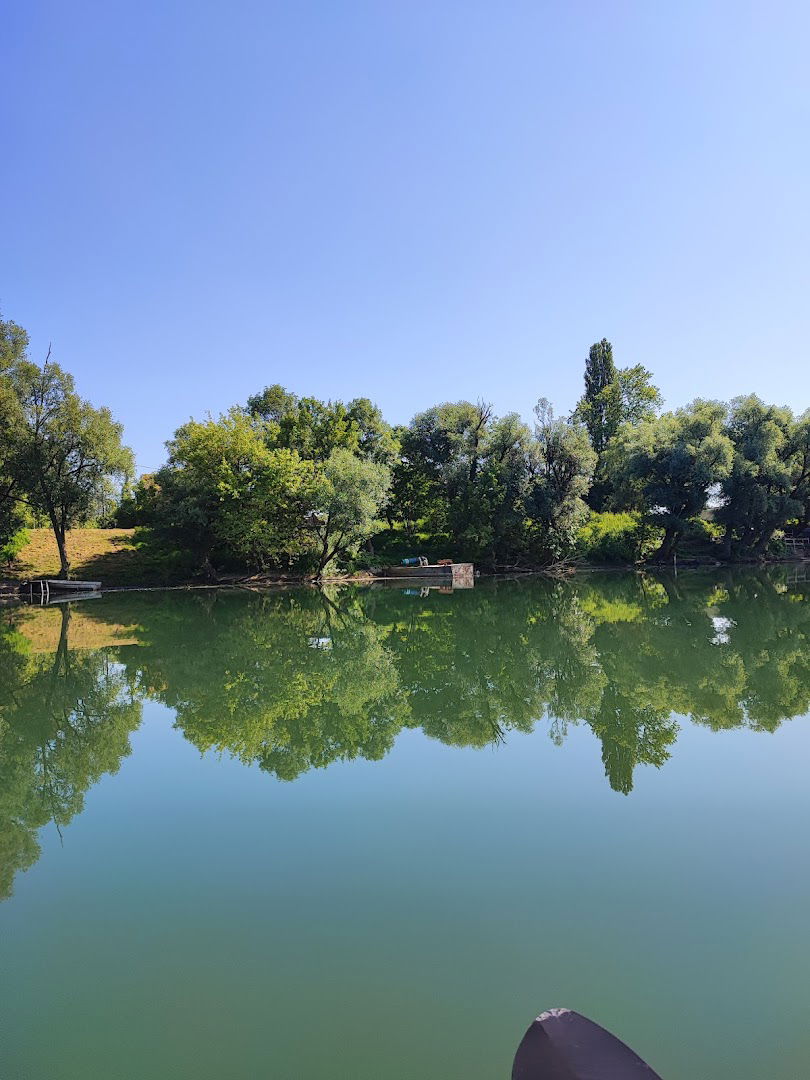 Manifestacija - Kupske večeri