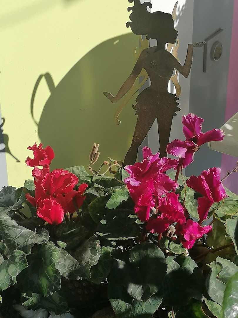 Caffe Bar California