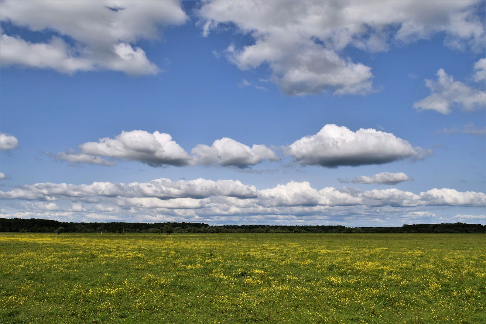 Mužilovciča Floodplain