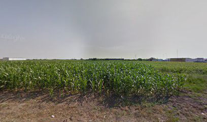 Rent A Car Inđija 022