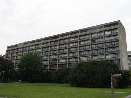 Sudski tumači za engleski, njemački i druge strane jezike - Dina Fistonić Bernardi