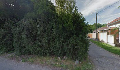 Viza Komerc Kombi prevoz