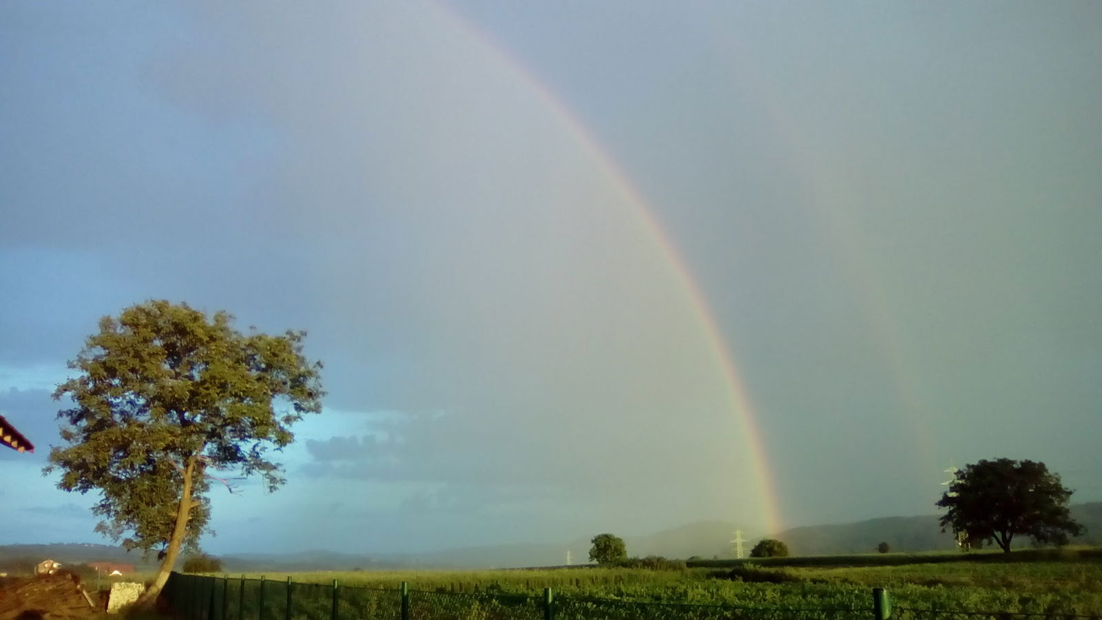 Месна заједница Пиносава