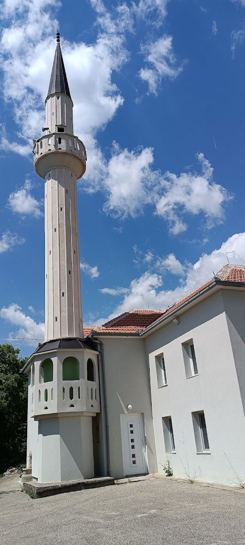 Džamija Gornja Bitunja