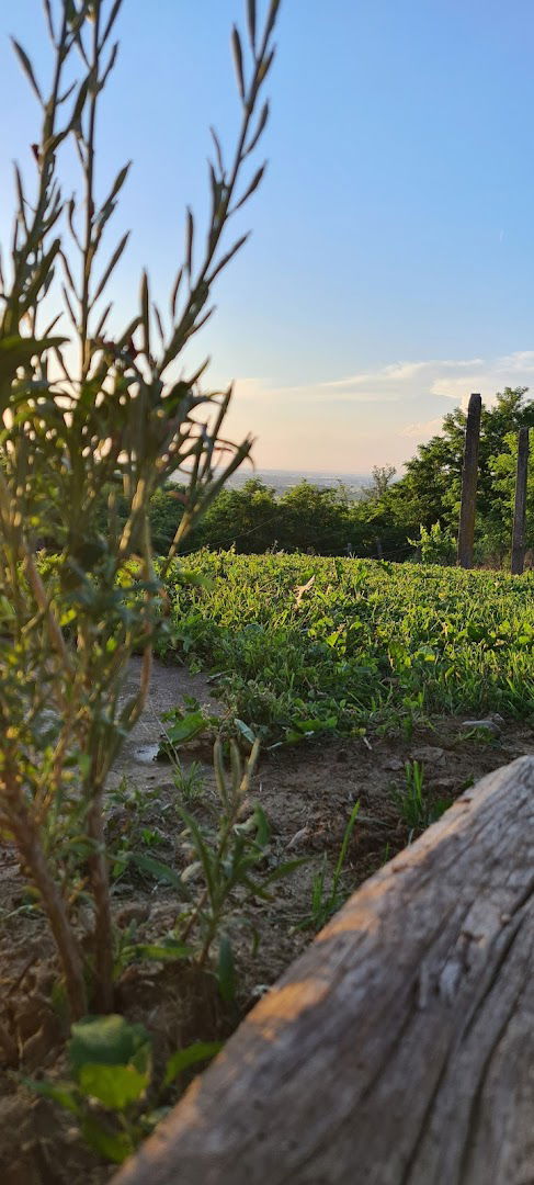 Klet Ristemi-privatni mir