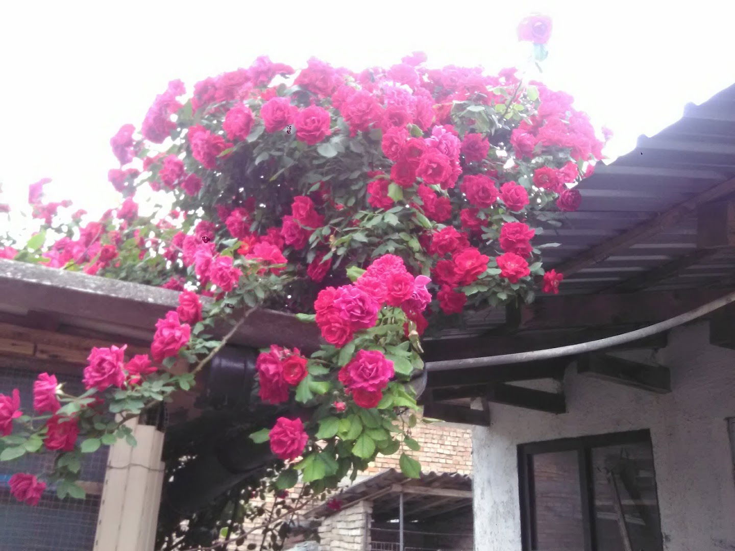 Етнографски музеј Дебељача