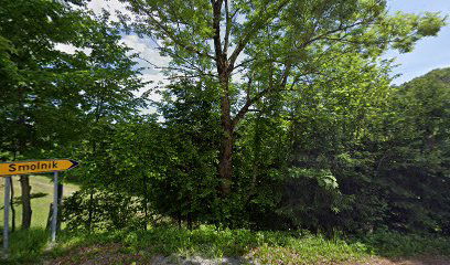 Črni Vrh nad Vrhovci