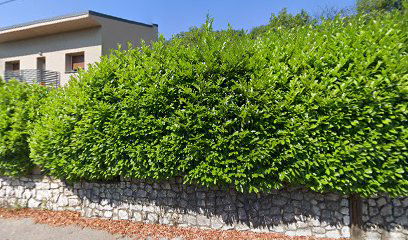 Kreativni studio Karika