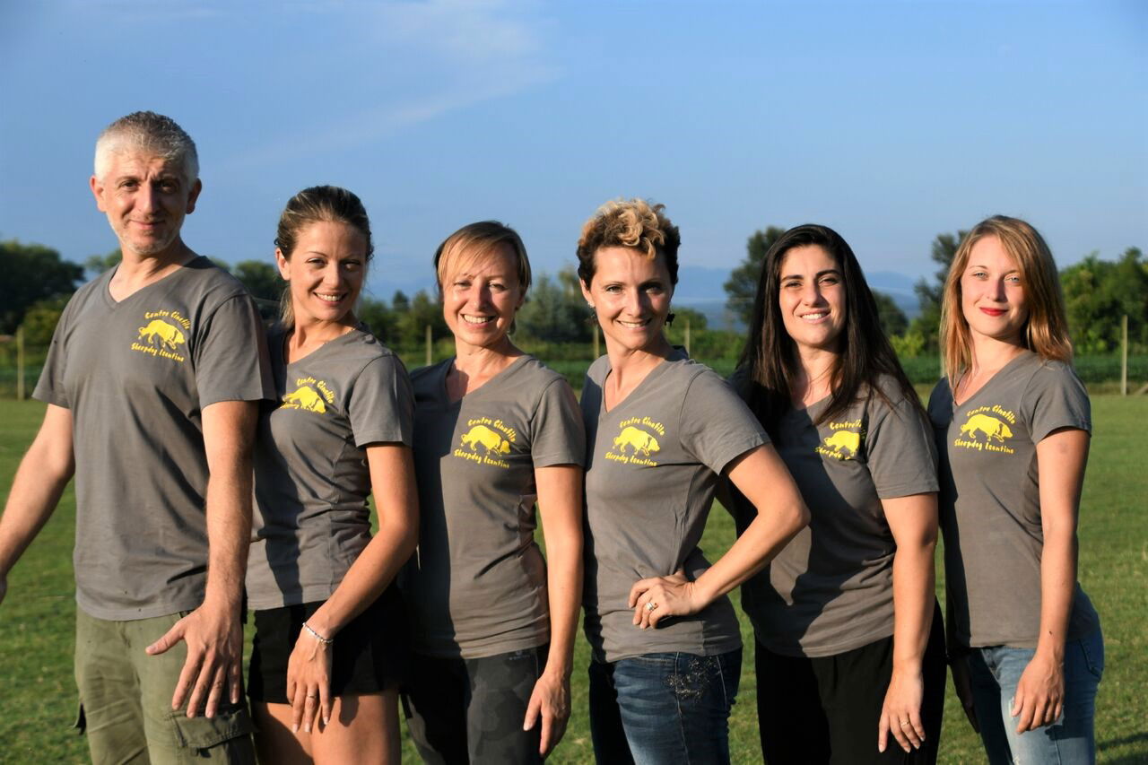 A.S.D. Sheepdog Isontino