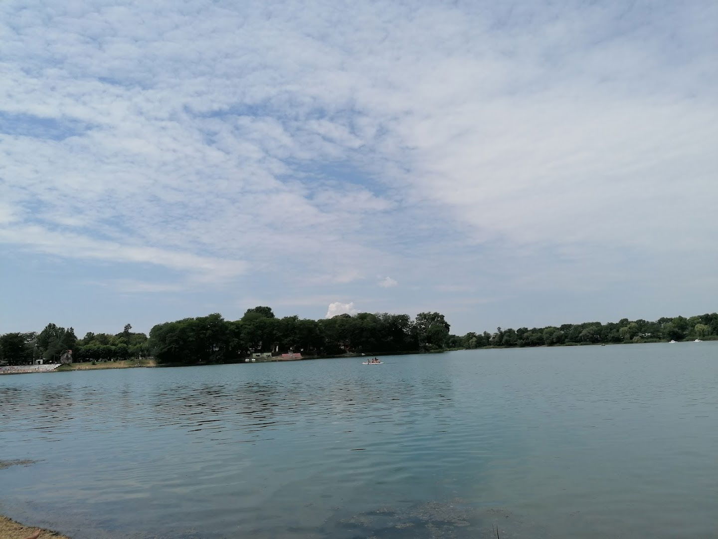 Miodrag Petrovic Preduzetnik, Autoprevoznik Banatsko Novo Selo