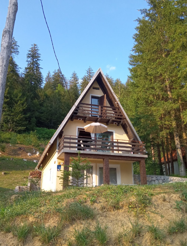 Holiday mountain house Forest Queen