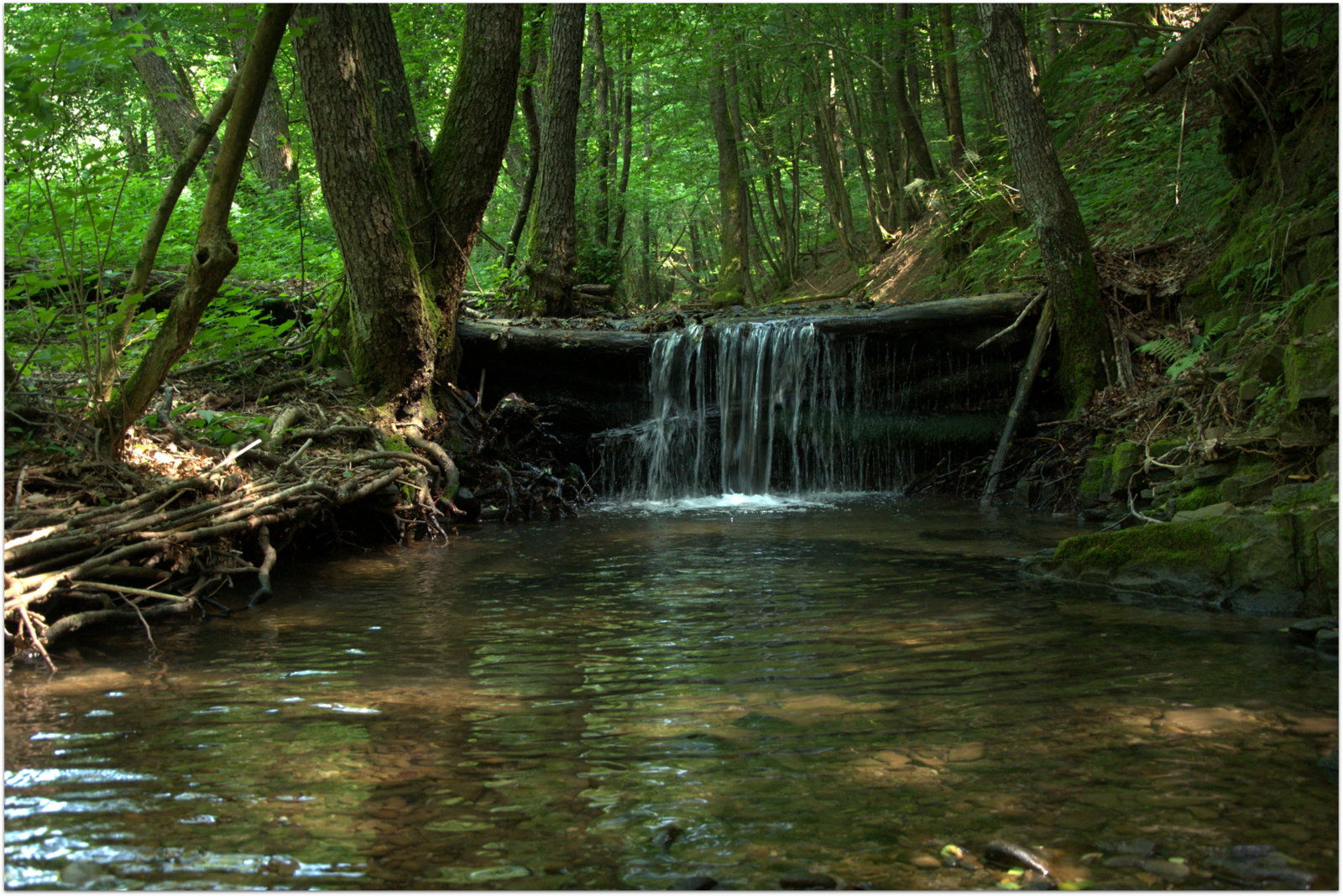Odolina - Sepa dolina s ponikvami