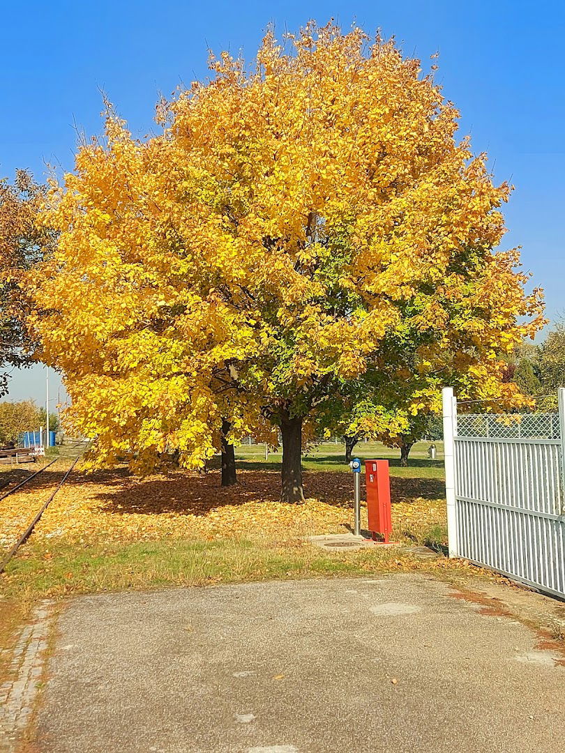 Элемир завод, складишта