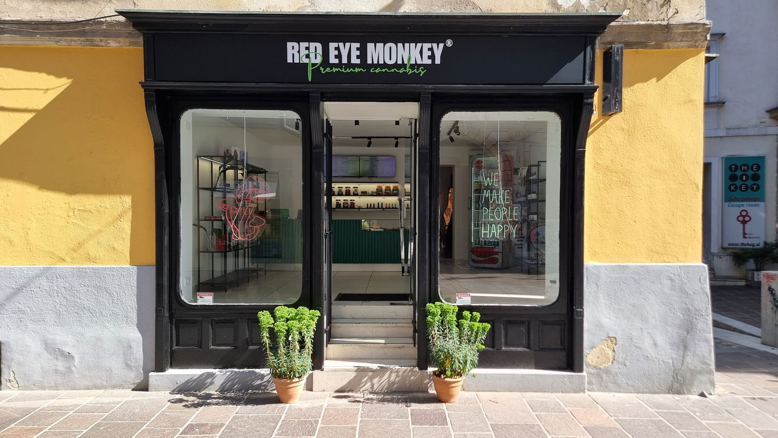 Red Eye Monkey - Cannabis shop Trubarjeva - Premium CBD & Cannabis products