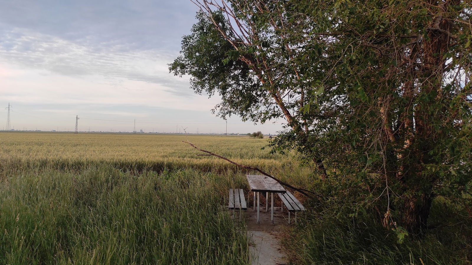 Споменик стрељаним партизанима