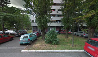 Mamuzic Slobodan PR, Auto Taksi, Novi Beograd, Milutina Milankovica 146/21