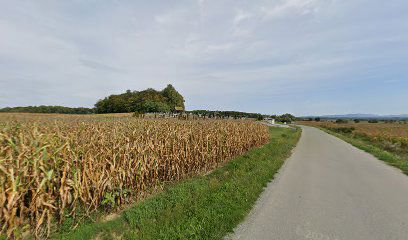 Goveđe Polje cemetery