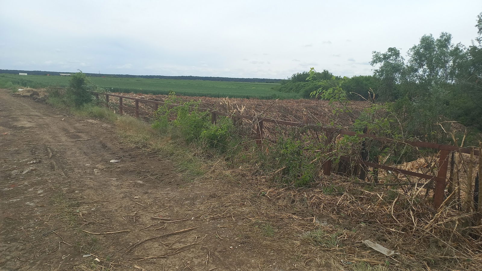 Пилина ћуприја