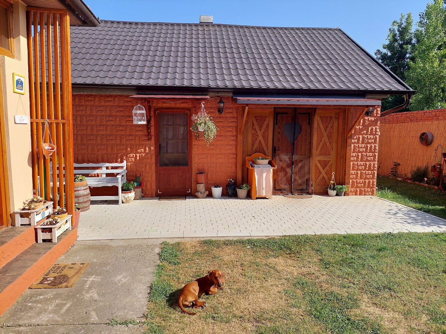 Salas "GNJEZDO" Šar