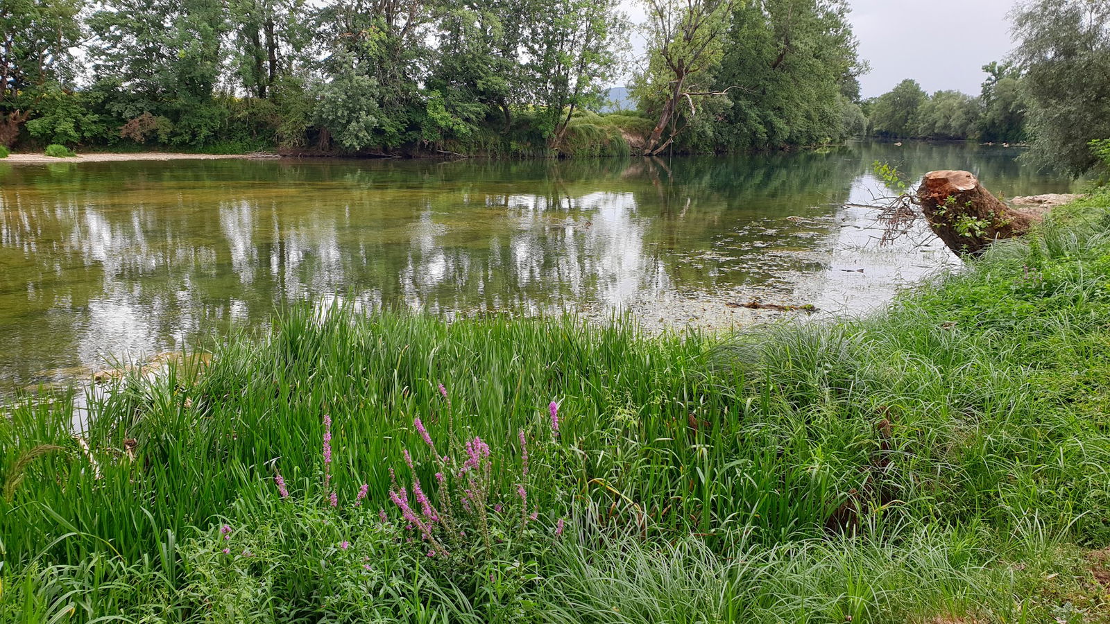 Kolpa river