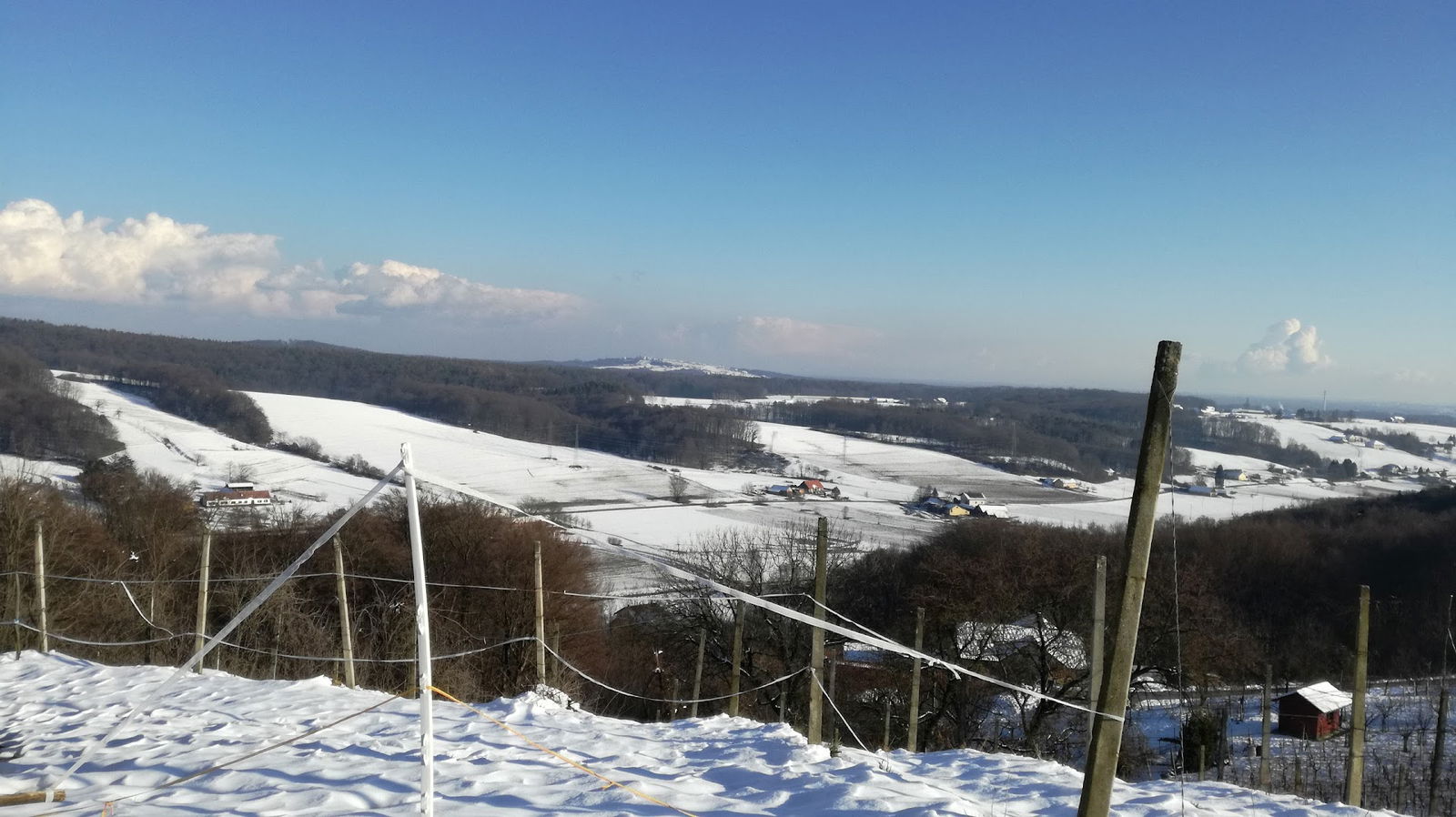 Zavarovalno zastopanje, Nataša Prejac s.p.