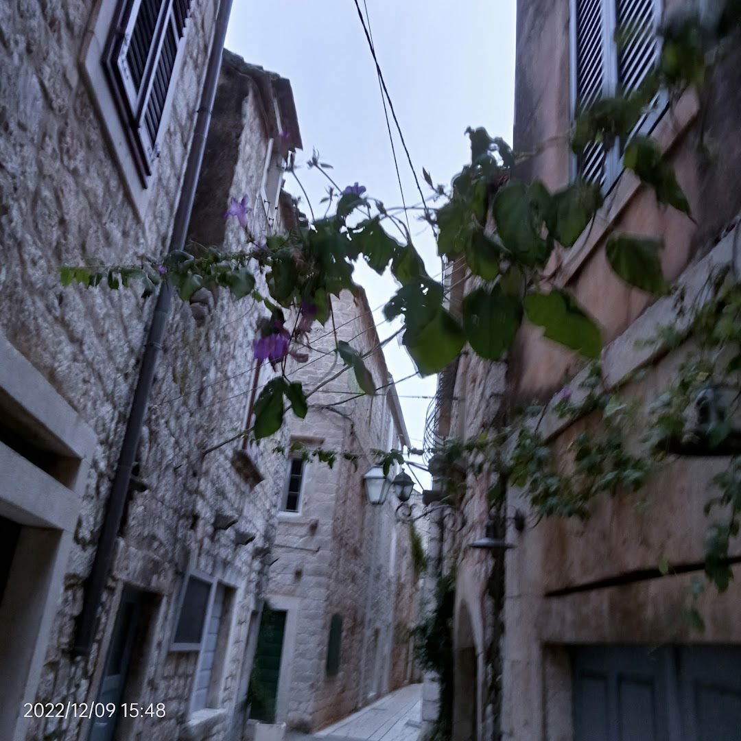 Vučna sluzba Rudina